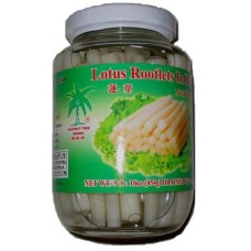 GREEN Lotus Rootlets in Brine  454g